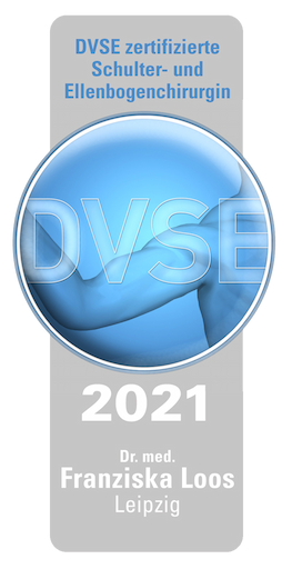 DVSE Logo